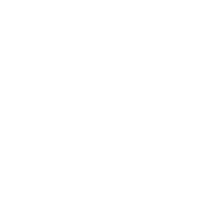 Web